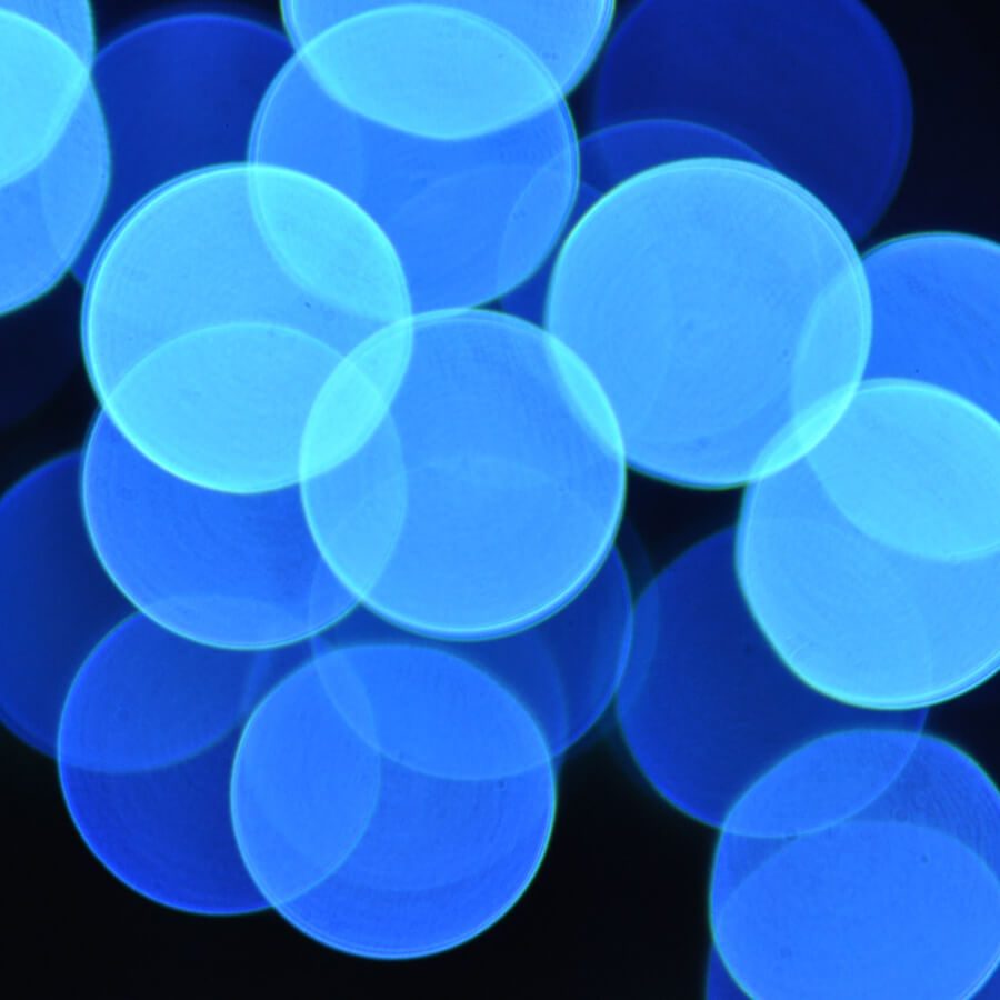 A pattern of blue circles